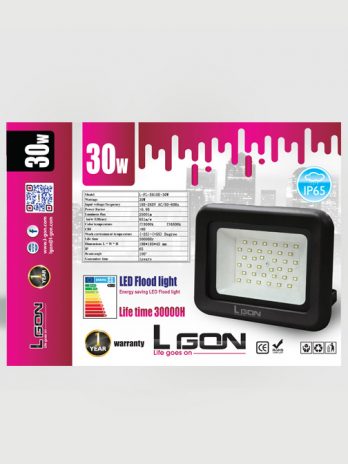 30w LED Flood Bulb E015E
